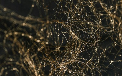 The Science of Grief: How Your Brain and Body Process Loss